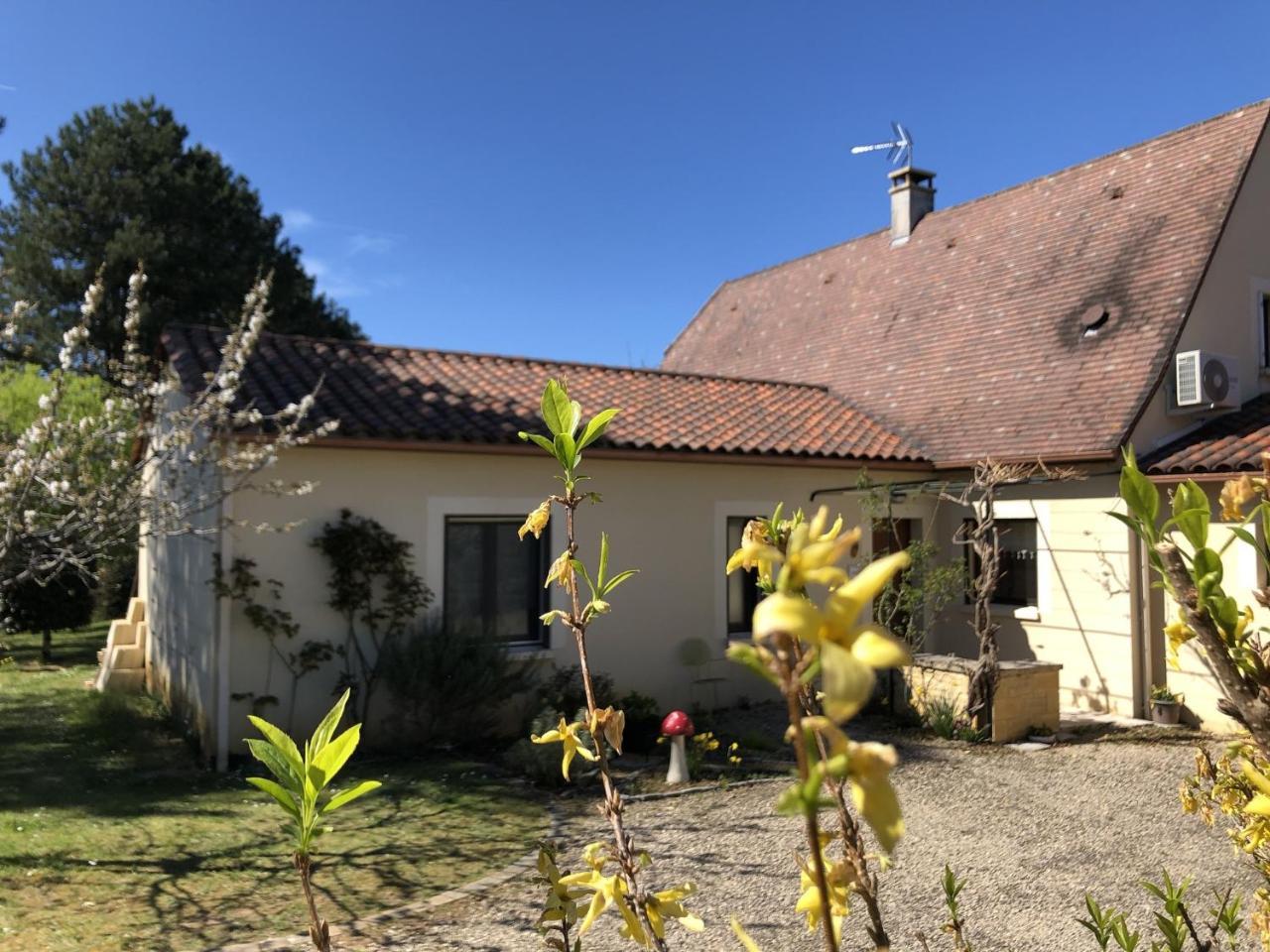 Chambre D'Hotes L'Olivianne Sarlat-la-Caneda Bagian luar foto